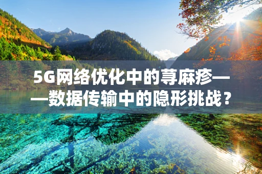 5G网络优化中的荨麻疹——数据传输中的隐形挑战？