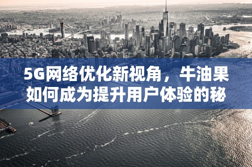 5G网络优化新视角，牛油果如何成为提升用户体验的秘密武器？