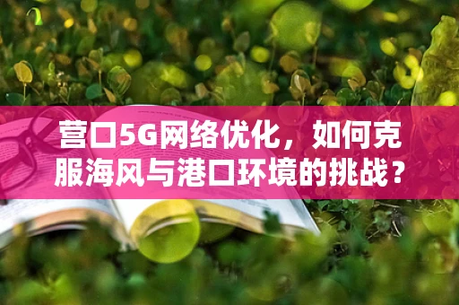 营口5G网络优化，如何克服海风与港口环境的挑战？