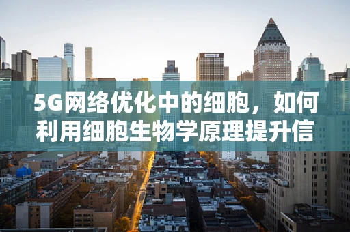 5G网络优化中的细胞，如何利用细胞生物学原理提升信号传输效率？