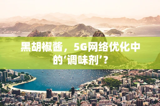 黑胡椒酱，5G网络优化中的‘调味剂’？