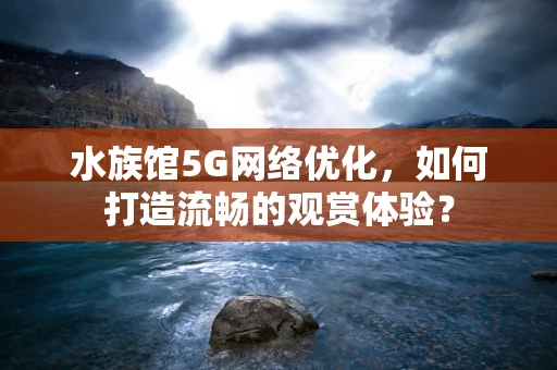 水族馆5G网络优化，如何打造流畅的观赏体验？