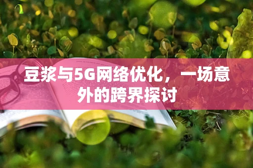 豆浆与5G网络优化，一场意外的跨界探讨