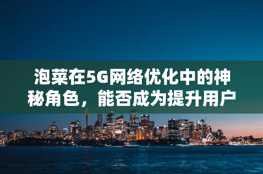 泡菜在5G网络优化中的神秘角色，能否成为提升用户体验的秘籍？