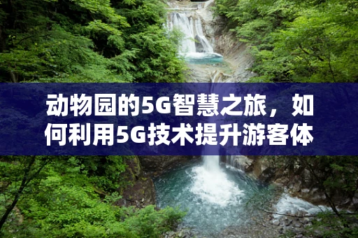 动物园的5G智慧之旅，如何利用5G技术提升游客体验？