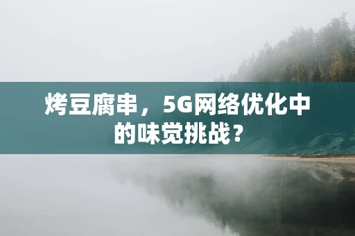 烤豆腐串，5G网络优化中的味觉挑战？