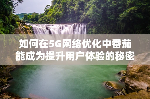 如何在5G网络优化中番茄能成为提升用户体验的秘密武器？