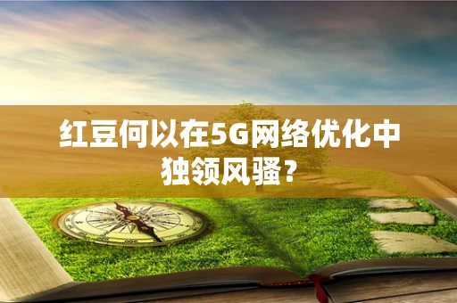 红豆何以在5G网络优化中独领风骚？