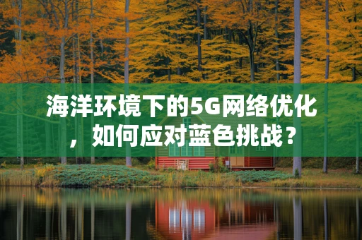 海洋环境下的5G网络优化，如何应对蓝色挑战？