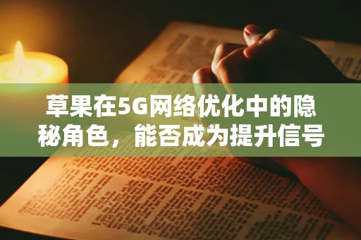 草果在5G网络优化中的隐秘角色，能否成为提升信号覆盖的‘秘密武器’？