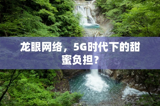 龙眼网络，5G时代下的甜蜜负担？