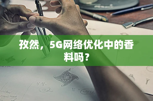 孜然，5G网络优化中的香料吗？