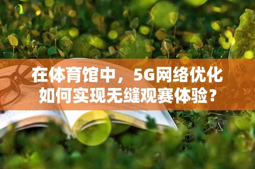 在体育馆中，5G网络优化如何实现无缝观赛体验？