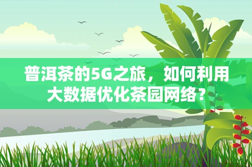 普洱茶的5G之旅，如何利用大数据优化茶园网络？