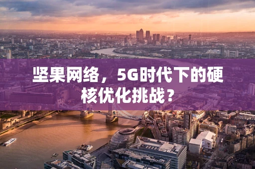 坚果网络，5G时代下的硬核优化挑战？