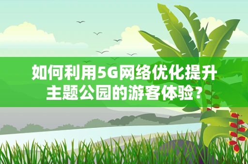 如何利用5G网络优化提升主题公园的游客体验？