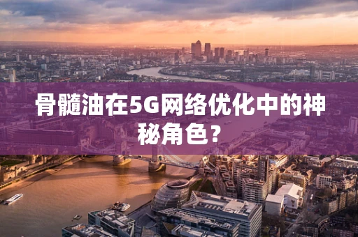 骨髓油在5G网络优化中的神秘角色？