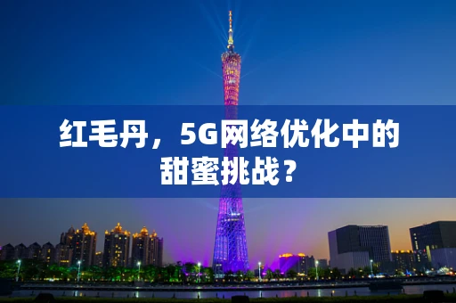 红毛丹，5G网络优化中的甜蜜挑战？