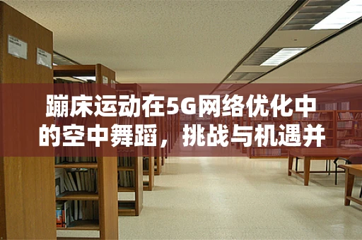 蹦床运动在5G网络优化中的空中舞蹈，挑战与机遇并存？