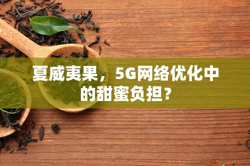 夏威夷果，5G网络优化中的甜蜜负担？