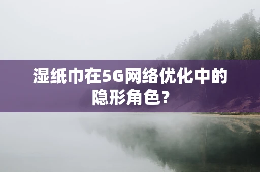 湿纸巾在5G网络优化中的隐形角色？