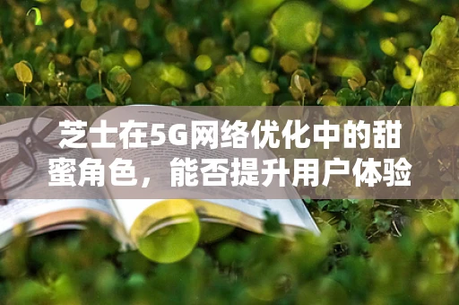 芝士在5G网络优化中的甜蜜角色，能否提升用户体验的‘秘密武器’？