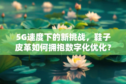 5G速度下的新挑战，鞋子皮革如何拥抱数字化优化？