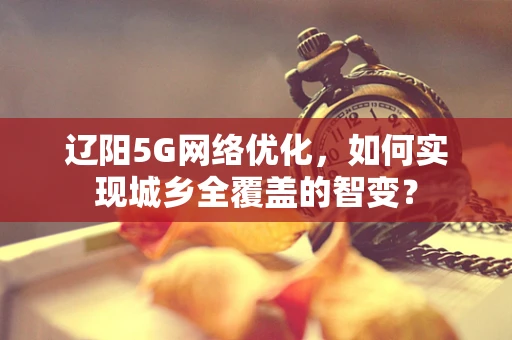 辽阳5G网络优化，如何实现城乡全覆盖的智变？