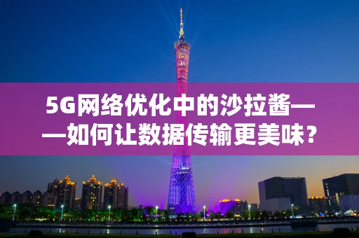 5G网络优化中的沙拉酱——如何让数据传输更美味？