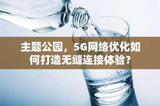 主题公园，5G网络优化如何打造无缝连接体验？