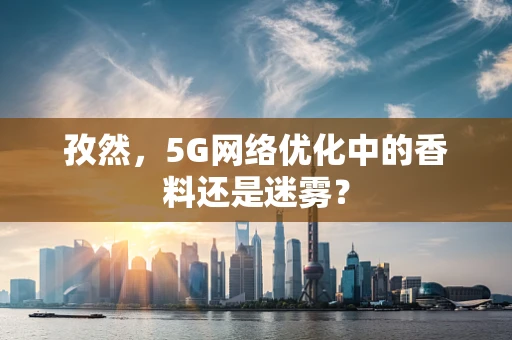 孜然，5G网络优化中的香料还是迷雾？