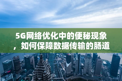 5G网络优化中的便秘现象，如何保障数据传输的肠道畅通？