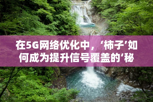 在5G网络优化中，‘柿子’如何成为提升信号覆盖的‘秘密武器’？