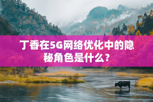 丁香在5G网络优化中的隐秘角色是什么？