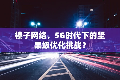 榛子网络，5G时代下的坚果级优化挑战？