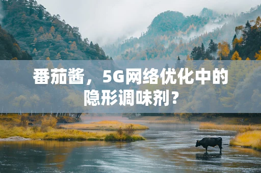 番茄酱，5G网络优化中的隐形调味剂？