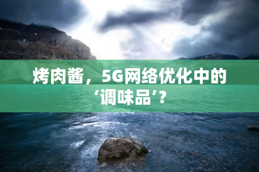 烤肉酱，5G网络优化中的‘调味品’？