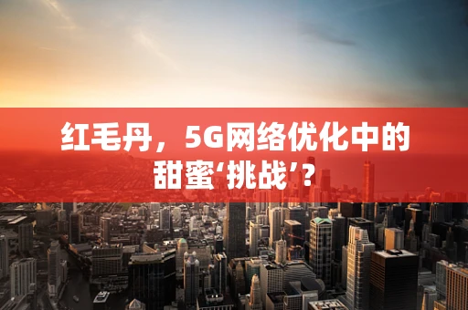 红毛丹，5G网络优化中的甜蜜‘挑战’？